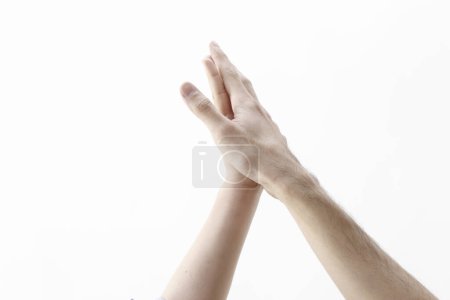 Téléchargez les photos : Mains féminines isolées sur fond blanc. - en image libre de droit