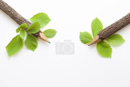Photo for Pencils with tree leaves isolated on white background - Royalty Free Image