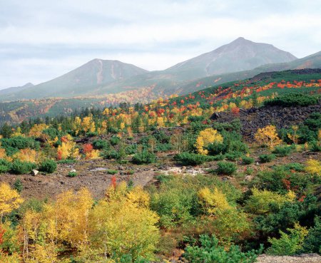 Téléchargez les photos : Beau paysage de montagne avec forêt pittoresque en automne - en image libre de droit