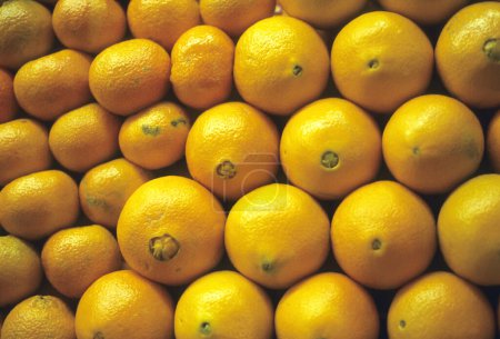Téléchargez les photos : Oranges fraîches en rangs sur le marché, fond alimentaire - en image libre de droit