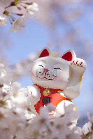 Photo for Maneki neko and Cherry Blossoms - Royalty Free Image