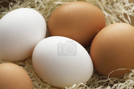 Photo for Close-up view of fresh organic chicken eggs - Royalty Free Image