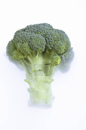 Téléchargez les photos : Green broccoli vegetable on a white background - en image libre de droit