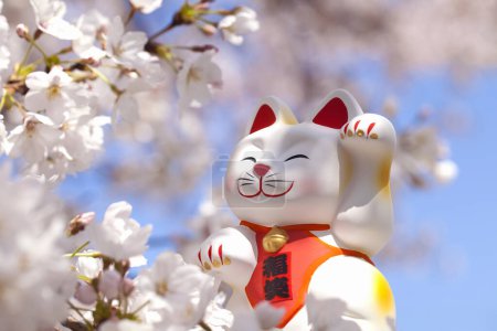 Maneki neko et les fleurs de cerisier