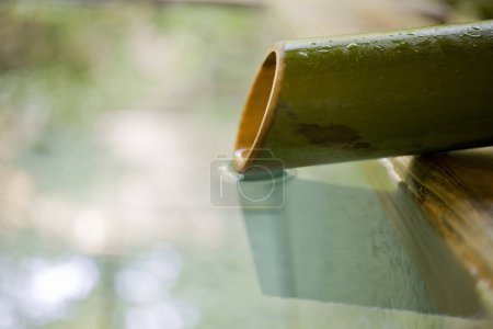 Téléchargez les photos : Fermer la goutte d'eau sur le tuyau en bambou en bois - en image libre de droit