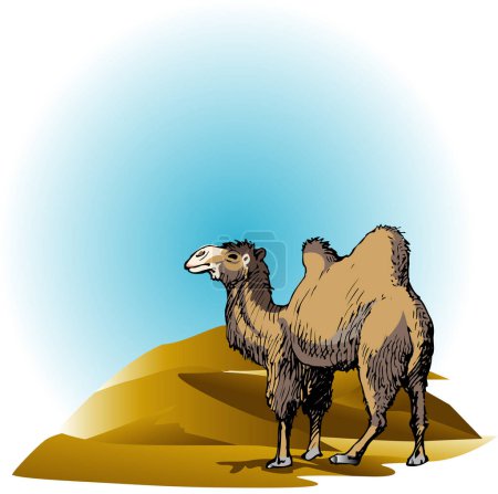 Téléchargez les photos : Chameau de dessin animé dans le désert - en image libre de droit