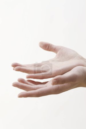 Téléchargez les photos : Mains de jeune femme sur fond blanc. - en image libre de droit
