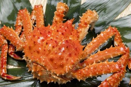Téléchargez les photos : Crabe frais sur la feuille sur le fond, gros plan - en image libre de droit
