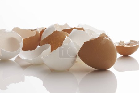 Foto de Cáscaras rotas de huevos sobre fondo blanco - Imagen libre de derechos