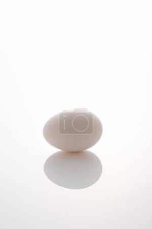 Téléchargez les photos : Vue rapprochée de l "œuf de poulet bio frais - en image libre de droit