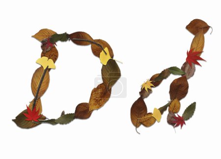 Téléchargez les photos : Alphabet composé de feuilles d'automne isolées sur fond blanc. Lettre D - en image libre de droit
