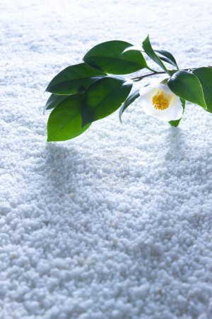 Téléchargez les photos : Motif abstrait de gravier zen avec fleur de jasmin - en image libre de droit