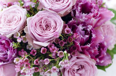 Foto de Hermosas rosas púrpuras en el fondo, de cerca - Imagen libre de derechos