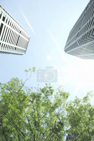 Téléchargez les photos : Branches d'arbres verts avec des immeubles de bureaux modernes, vue du bas - en image libre de droit