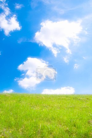 Foto de Pradera verde y cielo azul con nubes - Imagen libre de derechos