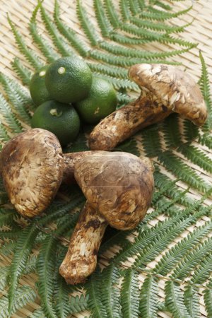 fresh  matsutake mushrooms and green limes, close up view