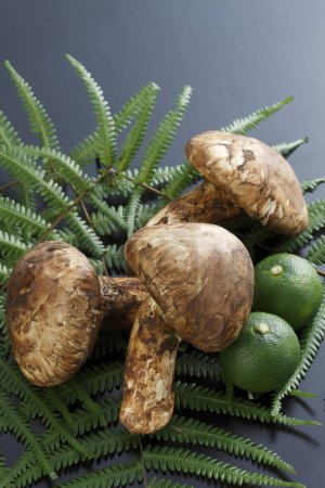 fresh  matsutake mushrooms and green limes, close up view