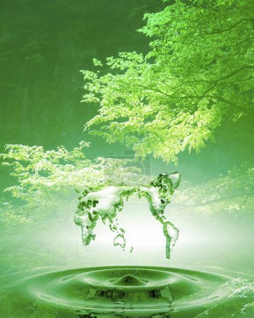 Téléchargez les photos : Feuilles vertes et goutte d'eau, fond naturel abstrait - en image libre de droit