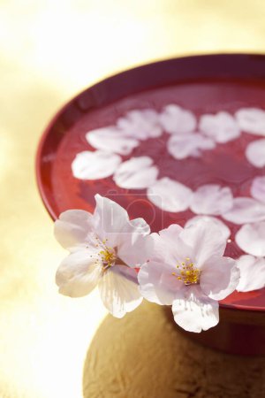 Photo for Close up of beautiful cherry blossoms flowers and bowl with water - Royalty Free Image