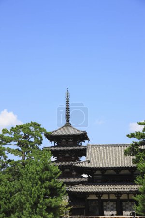 beautiful Horyu Temple. Traditional Japanese architecture 