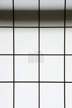 Puerta de papel shoji japonesa rectangular y cuadrada