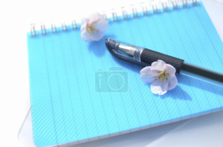 Téléchargez les photos : Carnet, stylo et fleurs bleues sur la table - en image libre de droit