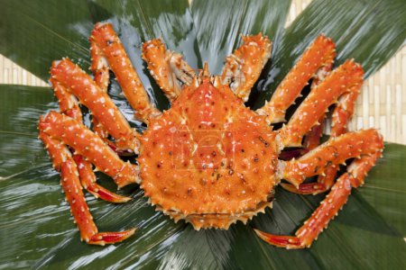 Photo for Fresh crab on the leaf on background, close up - Royalty Free Image