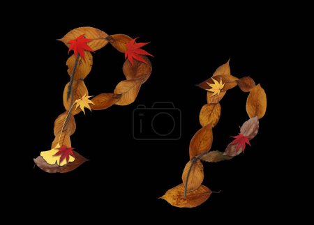 Photo for Alphabet made of autumn leaves isolated on black background. Letter P - Royalty Free Image