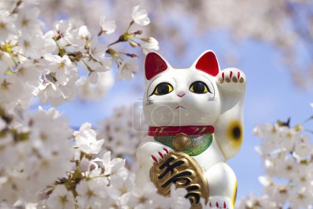 Téléchargez les photos : Maneki neko et les fleurs de cerisier - en image libre de droit