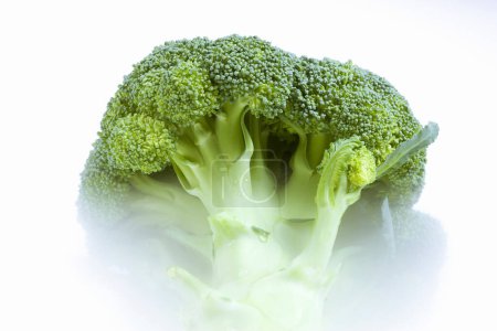Photo for Broccoli vegetables isolated on white background. - Royalty Free Image