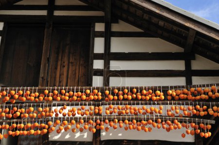 Dried persimmon.Traditional Japanese food.