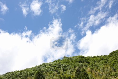 Foto de Hermoso paisaje de montaña con árboles verdes en el bosque y el cielo azul - Imagen libre de derechos