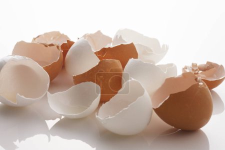 Téléchargez les photos : Coquilles cassées d'œufs sur fond blanc - en image libre de droit