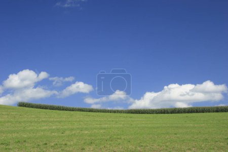 Téléchargez les photos : Beau paysage avec champ vert et ciel bleu avec nuages - en image libre de droit