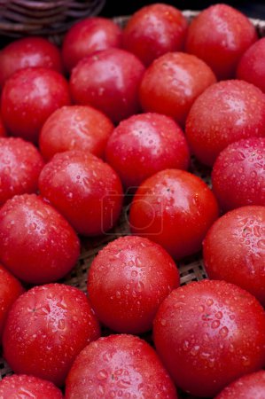 Téléchargez les photos : Tomates rouges fermer le fond - en image libre de droit