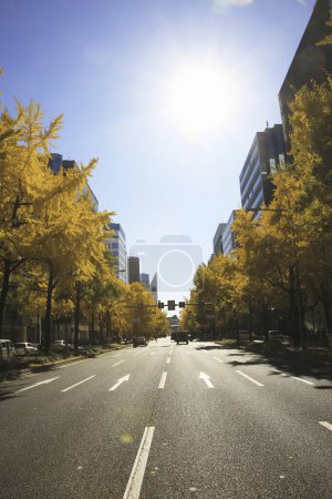 Photo for Colorful trees at tokyo city street, japan - Royalty Free Image
