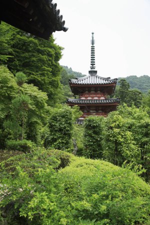 Foto de Una pagoda en medio de un frondoso bosque verde - Imagen libre de derechos