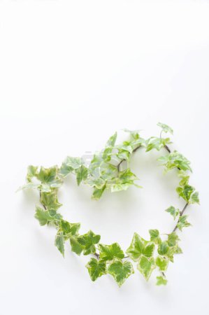 Photo for Heart-shaped floral wreath with green leaves on white background - Royalty Free Image