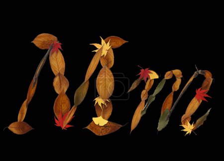 Alphabet made of autumn leaves isolated on black background. Letter M