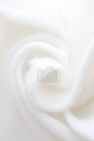 Téléchargez les photos : Rose blanche douce sur fond blanc. - en image libre de droit