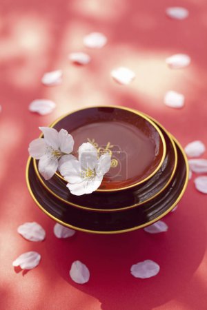 Photo for Close up of beautiful cherry blossoms flowers and bowl with water - Royalty Free Image