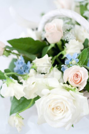 Téléchargez les photos : Belles roses blanches sur le fond, gros plan - en image libre de droit