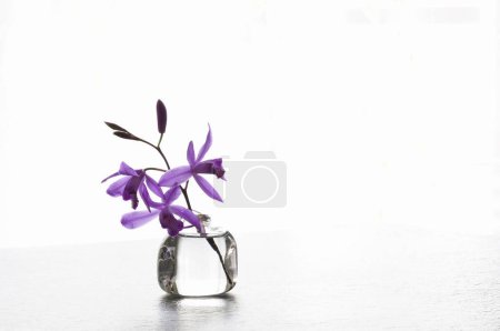 Foto de Ramo de flores frescas en florero, composición floral - Imagen libre de derechos
