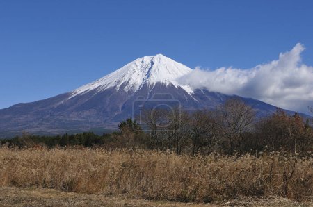 Photo for Beautiful mountain Fuji  in Japan on nature background - Royalty Free Image