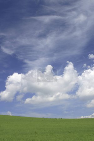 Téléchargez les photos : Belle vue naturelle sur le champ vert et le ciel bleu - en image libre de droit