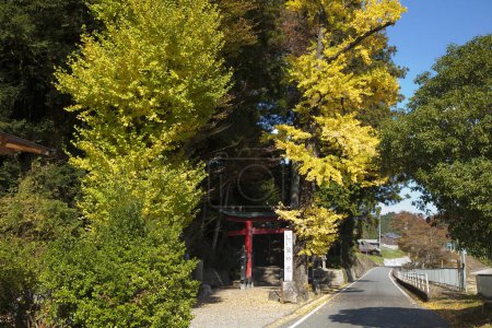 Téléchargez les photos : Beau paysage d'automne, feuilles jaunes - en image libre de droit