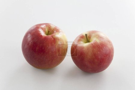 Foto de Vista de cerca de manzanas orgánicas maduras frescas sobre fondo blanco - Imagen libre de derechos