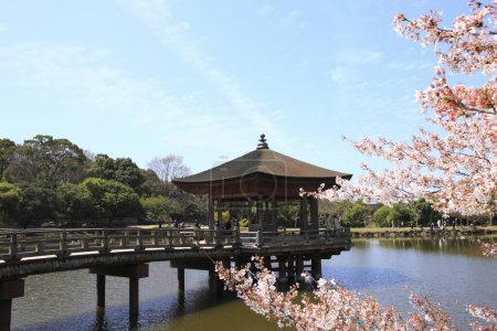 Ukimido Tempel und Sakura blüht in Nara im Frühling