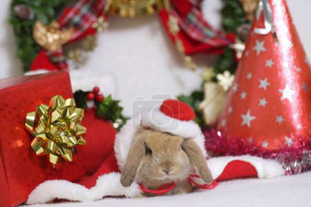 Photo for Cute rabbit in santa claus clothes on  background - Royalty Free Image