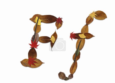 Photo for Alphabet made of autumn leaves isolated on white background. Letter F - Royalty Free Image